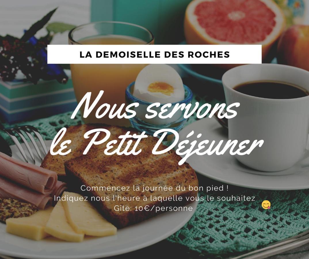 Demoiselle Des Roches Appartement Ramonchamp Buitenkant foto