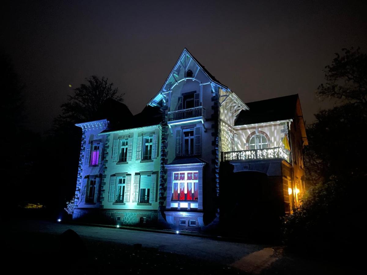 Demoiselle Des Roches Appartement Ramonchamp Buitenkant foto