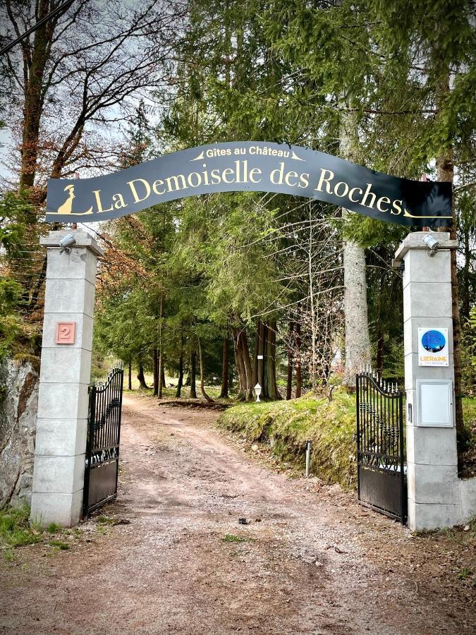 Demoiselle Des Roches Appartement Ramonchamp Buitenkant foto