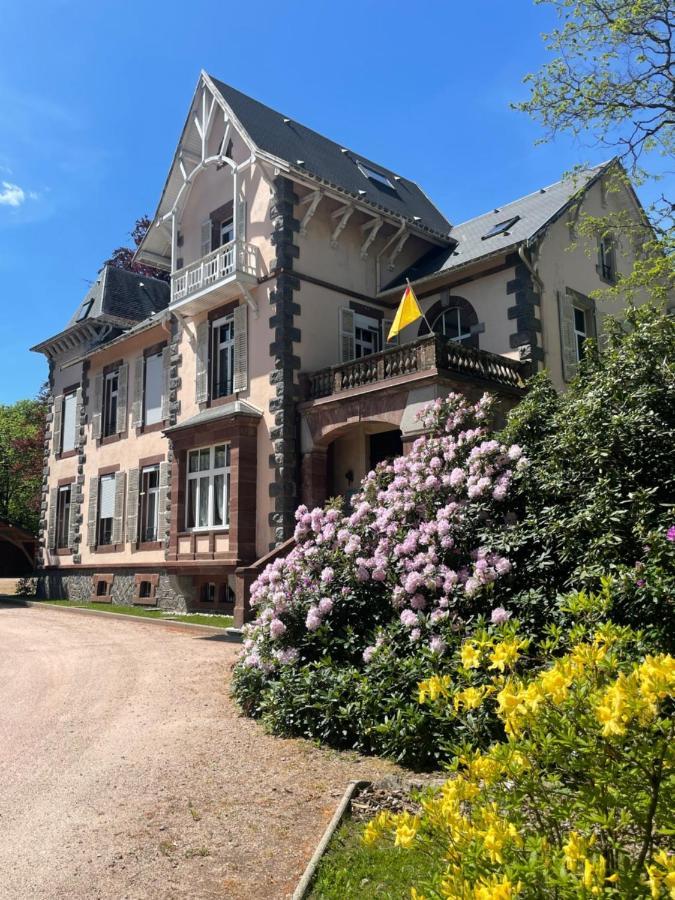 Demoiselle Des Roches Appartement Ramonchamp Buitenkant foto